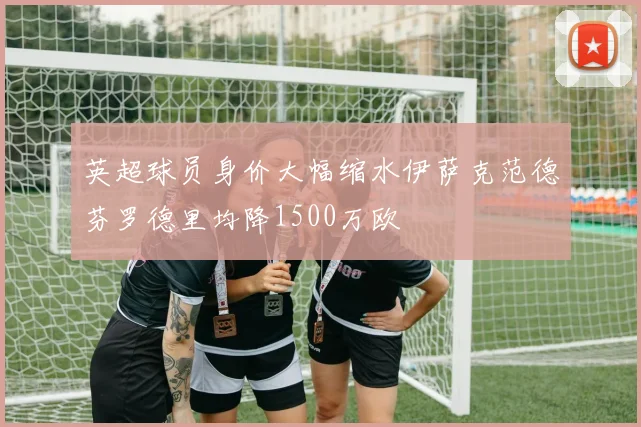 英超球员身价大幅缩水伊萨克范德芬罗德里均降1500万欧
