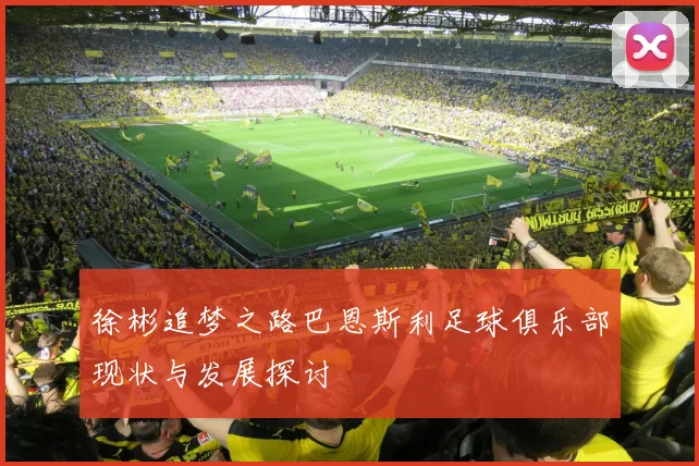 徐彬追梦之路巴恩斯利足球俱乐部现状与发展探讨