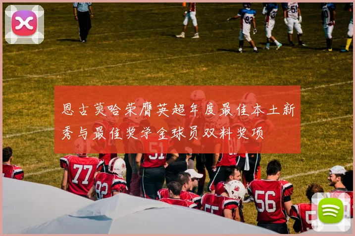 恩古莫哈荣膺英超年度最佳本土新秀与最佳奖学金球员双料奖项
