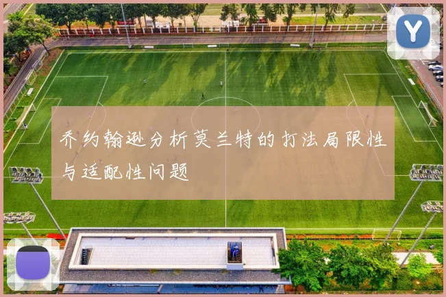 乔约翰逊分析莫兰特的打法局限性与适配性问题
