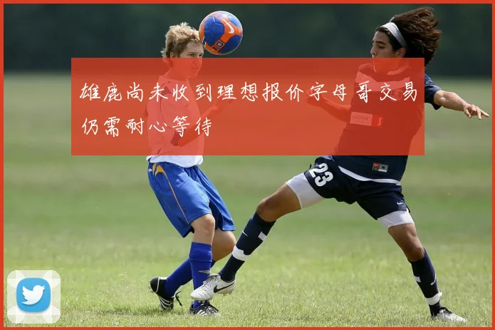 雄鹿尚未收到理想报价字母哥交易仍需耐心等待